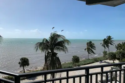 Image de Ocean Extravaganza C438: 2 Br, 2 Ba Condominium Ă Key West, pour 4 personnes