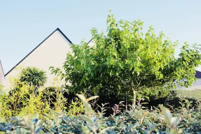 Image de Maison à 100 mètres d'une belle Plage, charges comprises, jardin, Parking privé