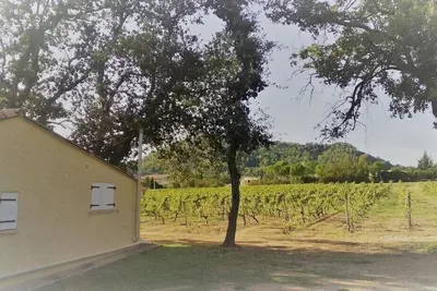 Image de La maison sous les chĂŞnes