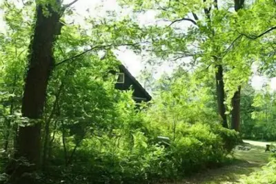 Image de Profitez de vos vacances dans une maison en bois confortable, entouré par la nature!