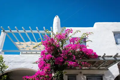 Image de Superbe maison / appartement de 2 chambres avec vue sur la mer à Drios, près de Golden Beach
