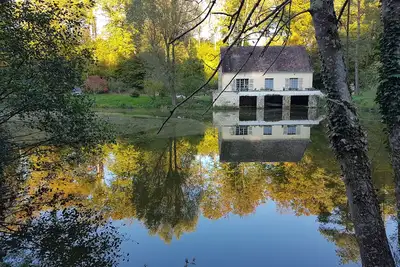 Image de Gîte Nid dans la forêt