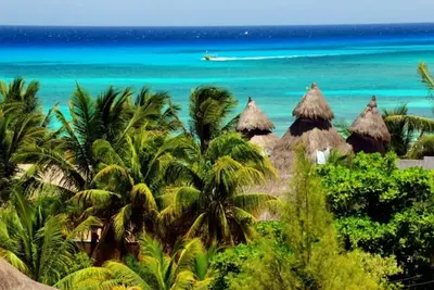 Image de El Taj Beachside - Penthouse Jacuzzi Bbq 3/2 Beach Club Promo # 306