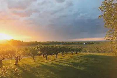 Image de Vineyard Estate House Ă Niagara