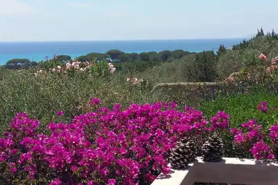 Image de Maison rénovée plagePalombaggia à pied-vue mer à180°-ds site protégé