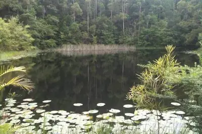 Image de Lilypad Lodge à Stewarts rivière