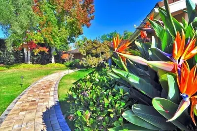 Image de Pebble Hill - magnifique maison de plain-pied entre Goleta et Santa Barbara