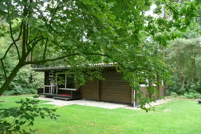 Image de Bungalow finlandais indépendante pour 6 personnes (3 chambres)