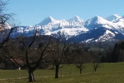 Image de Verdure Parfait pour les familles