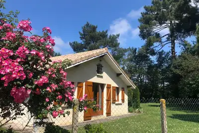 Image de La villa au milieu des pins 6 \/8 personnes climatisée