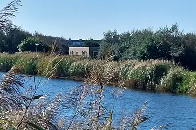 Image de Petten près de la plage, 2 personnes, toutes les pièces au rez-de-chaussée, vue dégagée