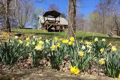 Image de Détendez-vous dans des bois paisibles privés et isolés, des montagnes