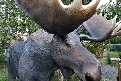 Image de La Lazy Moose Cabin à seulement 5 minutes du centre-ville de Dade City