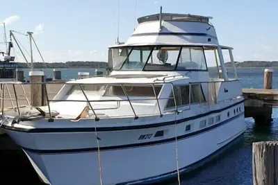 Bateau Sea Life et petit déjeuner