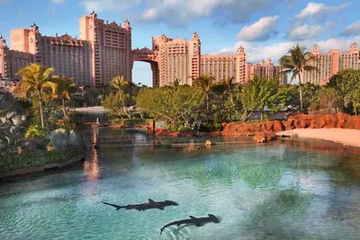 Image de Harborside at Atlantis 1 chambre à coucher avec 4 poignets à Atlantis