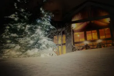 Image de Grand Timber Lodge 1 chambre