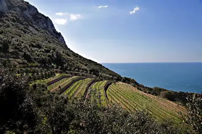 Image de Superbe chalet avec vue sur la mer, entouré de vignobles, avec accès à la plage: «Lentisk»