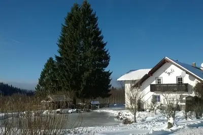 Image de Appartement de vacances Haidmühle pour 1 - 6 personnes avec 2 chambres à coucher - Appartement de va