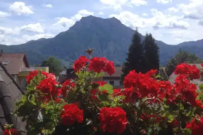 Image de Appartement 2 avec balcon Traunsteinblick