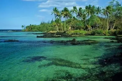Image de Tropical Paradise sur un budget!