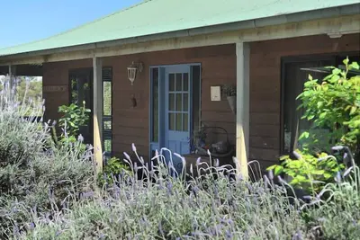 Image de Ferme de lavande Yarra Valley
