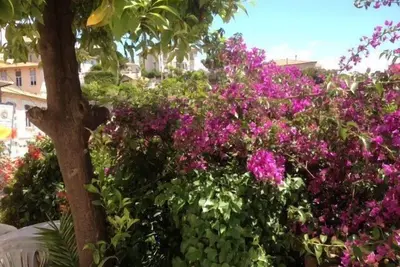 Image de Dans un écrin de verdure, à 13 minutes de la mer, au calme.