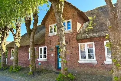 Image de Maison de vacances pour 7 personnes avec 96 m² à Oldsum (105413)