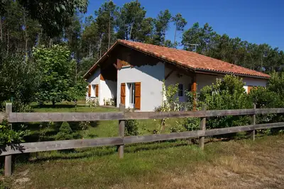 Image de Maison 11 places proche océan et en  lisière de la forêt landaise.