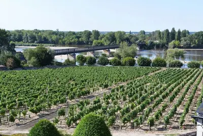 Image de Vacances à Pouilly \/ Loire vue sur la Loire et les vignes classé 2 étoiles