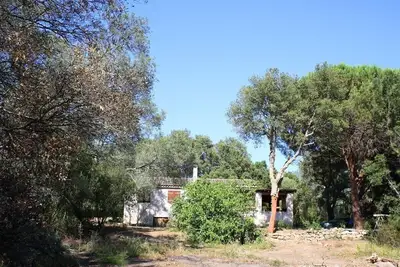 Image de T Rare Maison Dans Ecrin Nature 4 à 6 pers près C-Ville Porto-Vecchio