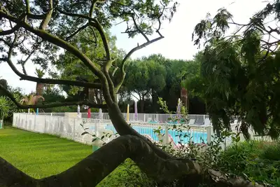 Image de Appt. 4 à 6 pers Juan les pins Résidence de standing avec Piscine