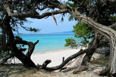 Image de Prox plage Mini Villa ensoleillée au calme   en campagne