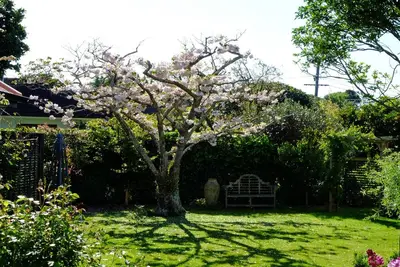 Image de Détendez-vous dans une paisible retraite de jardin