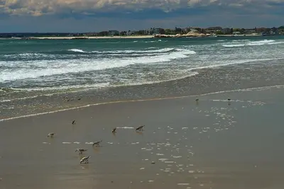Image de À quelques pas de la magnifique plage de Horseneck