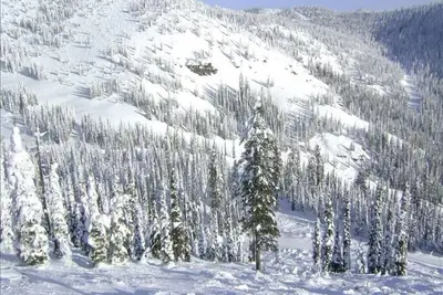 Image de Maison de ville de luxe: Ski-in Ski Out à Whitefish Mountain Resort