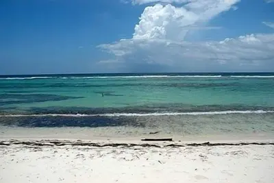 Image de Cayman Breeze - Un condo de luxe en bord de mer situé à Rum Point / Cayman Kai