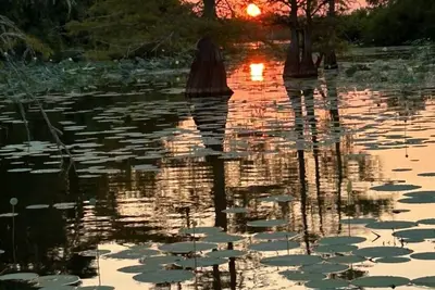 Image de La seule Vrbo à l'extrémité nord de Toledo Bend. Cabine avec accès au bord du lac