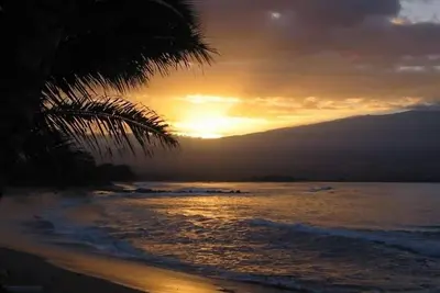 Image de Charmeur en bord de mer: Notre Surf - Votre Lullaby