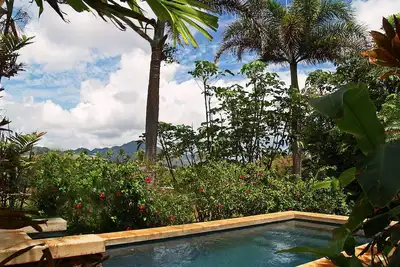 Image de Exquisite Oceanview et Mountainview maison avec piscine privée!