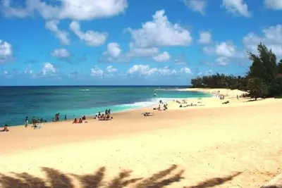 Image de Escapade tropicale d'une chambre!