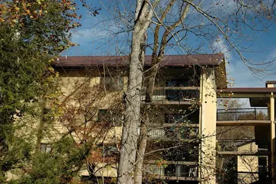 Image de Deux chambres ouvertes pour Dec 23x28