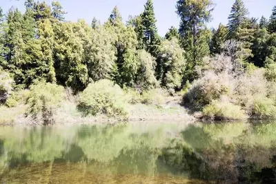 Image de Robin des Bois sur la rivière avec des vues spectaculaires, près des vignobles et des plages côtières
