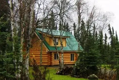Image de Cabine De BÛCHES Avant Lac! À PROXIMITÉ De La PÊCHE Au Saumon De La RIVIÈRE Kenai! Bunkhouse Disponible Aussi!