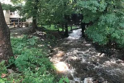 Image de Creekside Lodge sur la rivière Delaware avec un ruisseau saisonnier dans la cour latérale