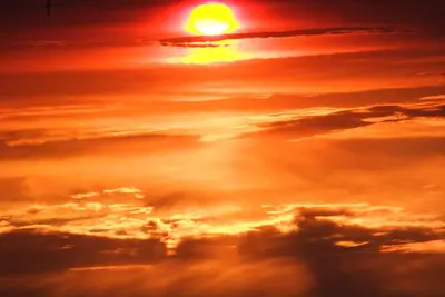 Image de Levers de l'océan, couchers de soleil, dauphins et plus depuis votre terrasse