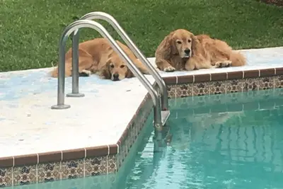 Image de Steps to Dog Friendly plage privée, maison avec piscine et jacuzzi, communauté fermée