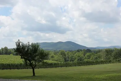 Image de Dog Friendly Maison \/ Chalet à une Winery & Vineyard!