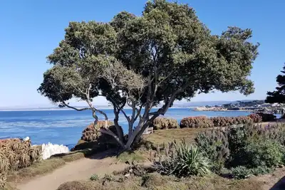 Image de Cottage Forest sur 1/4 Acre