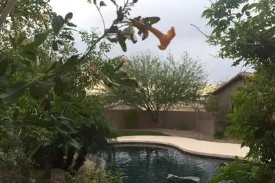 Image de Estrella Mountain Oasis-Quelque chose pour tout le monde!