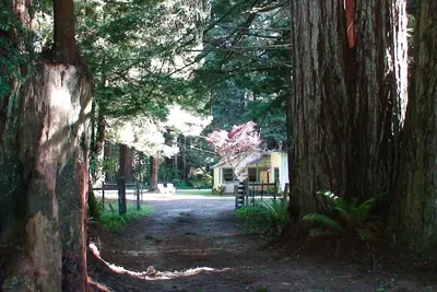 Image de Amy's Redwood Cottage